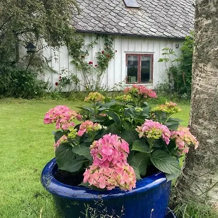 Shared ホームステイ スタヴァンゲル