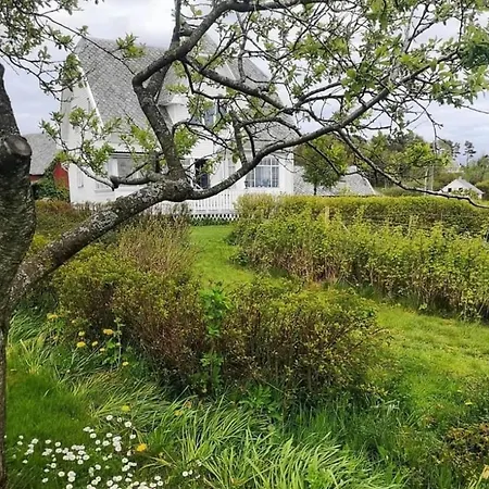 Shared * Ставангер