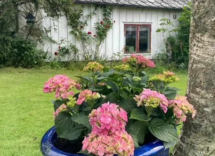Shared Homestay szállás Stavanger
