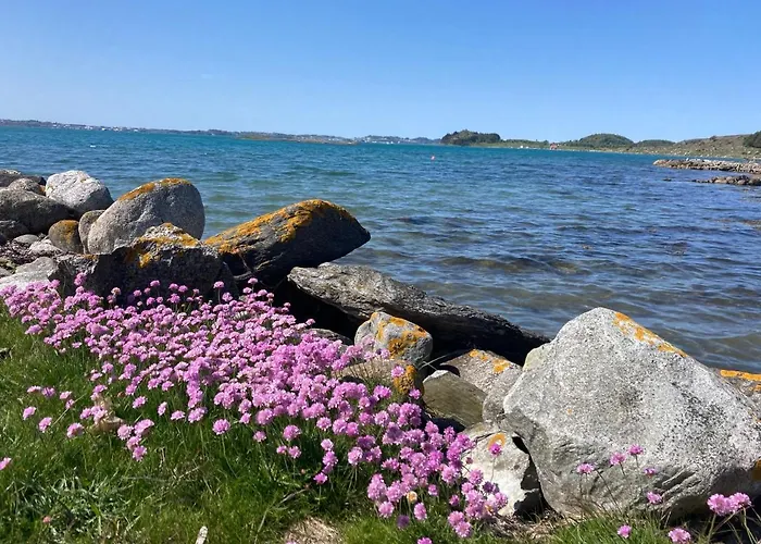 Homestay szállás Shared